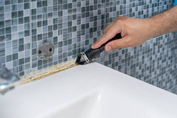 Mold Removal and Inspection in Walworth, WI